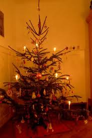 Check out our christmas tree candle selection for the very best in unique or custom, handmade pieces from our candles shops. Bin Im Garten Januar 2012 Imported Christmas Tree Candles And Vintage Style C Christmas Tree Candle Clips Christmas Tree Candles Christmas Tree Candle Holder