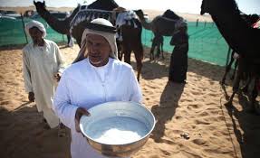 Though camel milk becomes one of the most wanted commodities right now but still very difficult to find this milk in some countries. Diabetes Natural Health With The Camel Milk