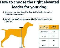 Chart Elevated Dog Feeder Elevated Dog Feeder Raised Dog Bowls Dog Food Stands