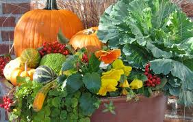 We did not find results for: 12 Fresh Fall Container Designs For Your Home And Garden