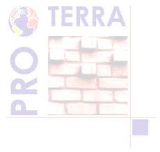 Célia Neves Obede Borges Faria