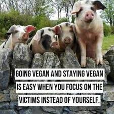 Over 56 Billion Farmed Animals Are Killed Every Year By Humans That S Over 7x The Global Population Billions Of Going Vegan Vegan Quotes Reasons To Go Vegan