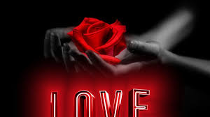 Happy Valentines Day 2021 Images Wallpapers Pictures Youtube Unsplash's meticulously curated catalogues are free to use and shot by passionate, skilled photographers. happy valentines day 2021 images wallpapers pictures