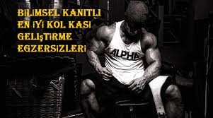 En Iyi Kol Kasi Gelistirme Hareketleri Bilimsel Kanitli