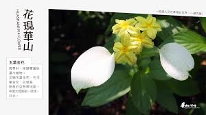 華山學校踏出完整第一步| 2019華山年報- 華山1914文化創意產業園區