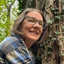 Renewable Energy Act Before Illinois Legislature Would Decrease Stress