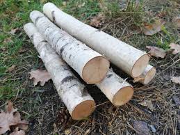 Maybe you would like to learn more about one of these? 5 Birch Logs White Wood Logs Fireplace Logs Craft Birch White Etsy