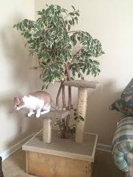 Pin By Lindsey Hopper On Animals Diy Cat Tree Cat Diy Cat Tree