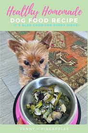 Pin On Puppy Recipes