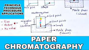 Paper Chromatography Principle Procedure Development Techniques Applications Youtube