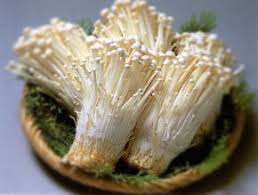 We did not find results for: Enoki Mushroom Recipes Wiki Fandom