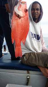 Pemancingan saudara cengtie dasana indah legok tangerang pemancingan galapung. Giler Pancing Teknik Memancing Ikan Kakap Merah Ikan Kakap Merah Adalah Ikan Penghuni Rumpon Berupa Karang Tandes Kapal Karam Rumpon Buatan Dll Dalam Bahasa Latin Ikan Kakap Merah Ini Bernama Lutjanus