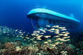 Listen to ubåt | explore the largest community of artists, bands, podcasters and creators of music & audio. Oahu Atlantis Submarine Tour Med Guide 2021