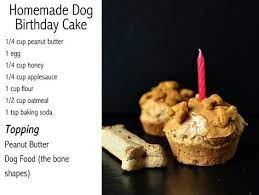 Dog Homemade Cupcakes Or Cake Peanut Butter Oatmeal Egg Applesauce Flour Super Easy Makes Dog Cake Recipes Dog Biscuit Recipes Dog Birthday Cake Recipe