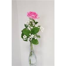 Maybe you would like to learn more about one of these? Hershey Pa Same Day Same Day Flower Delivery Delivery Send A Gift Today Maria S Flowers