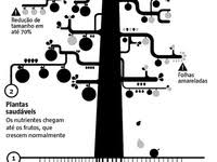 Victoria 2014 Share Our Story How To Find Out Clean Energy Election