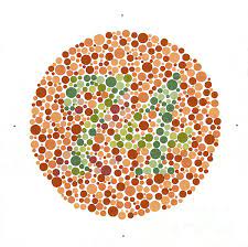 The directions say to draw lines to. Ishihara Color Blindness Test Puzzle For Sale By Wellcome Images