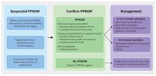 Image result for Vaginal Pooling