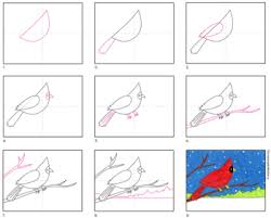 In this tutorial, we will draw northern cardinal. How To Draw A Cardinal By Art Projects For Kids Tpt