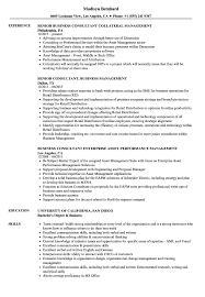 Included with high impact content. Business Management Consultant Resume Samples Velvet Jobs