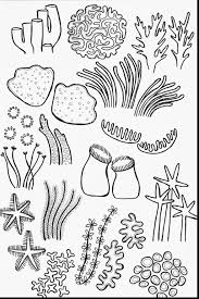 Drawn Coral Reef Coloring Page 2 Coral Reef Art Coral Drawing Coral Reef Drawing