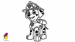 marshall paw patrol how to draw from coloriage faline avec bambi de
