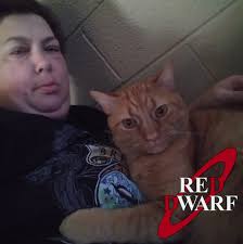 Why do gluten-free cookies often turn out dry?