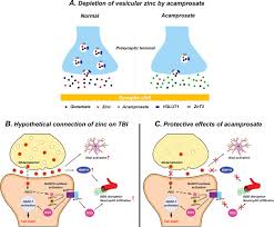 Image result for Acamprosate