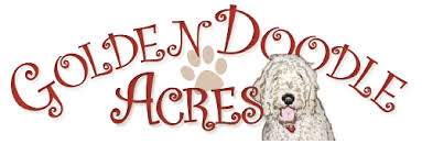 Thanks so much for a wonderful experience in purchasing our puppy. Goldendoodle Acres Your Wisconsin Goldendoodle Breeder