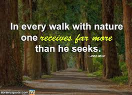 John Muir Quotes On What S In Every Walk With Nature Abrainyquote