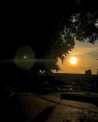 Kaylie Lau On Instagram Thankful Visual Lifestyle Design Graphic Fashion Livingstyle Art Vibes Style Aesthetic Vsc In 2020 Instagram Visual Living Styles