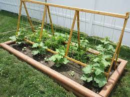 Patio Garden Ideas Vegetable Garden Trellis Cucumber Trellis Vegetable Trellis