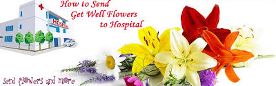 It's become a universal gesture of empathy, affection, and humanity. How To Send Get Well Flowers To Hospital Know Here