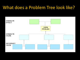 Developing A Problem Tree