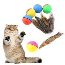 Kedi Bakimi Icin Gerekli Malzemeler British Shorthair Scottish Fold Sahibinden Safkan Kediler Sahiplendirme Turkiye 2018