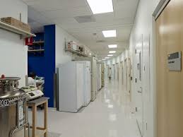 Ayers practices family medicine as well as serving as medical director for the national institute of medical aesthetics and elase medical spas. Ray And Dagmar Dolby Regeneration Medicine Building Rafael Vinoly Architects Archdaily