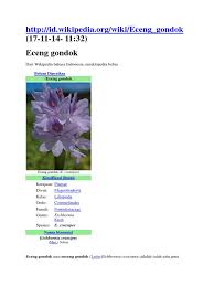 We did not find results for: Eceng Gondokkk