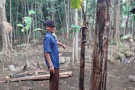 We did not find results for: Satu Keluarga Di Gunungkidul Keracunan Ubi Gadung 1 Orang Meninggal Halaman All Kompas Com