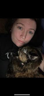 Tortishell cat found near Rememberance Rd and Justin Ave