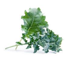 Pin By Veritableusa On Veritable Plants In 2020 Organic Seeds Types Of Basil Plant Leaves
