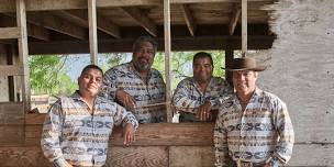 Los Palominos