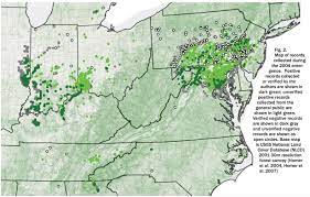 This cicada map shows the 15 states that are most likely to see big numbers of brood x cicadas in may and june 2021. Billions Of Cicadas May Be Coming Soon To Trees Near You