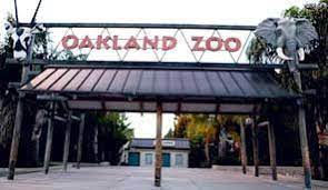Oakland Zoo With Free Tickets Provided By A Dear Friend Can T Wait To Go Oakland Zoo Bay Area Kids Day Trips