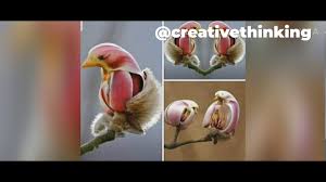 It is also sometimes grown as a large shrub. Bird Type Flower First Video Chinese Flower Yulan Magnolia Creative Thinking Youtube