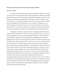 What is the function of the cell wall? Pdf Structure And Function Of Bacterial And Fungal Cell Walls