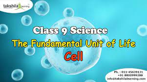 What is cell theory class 9. Cbse Biology Class 9 The Fundamental Unit Of Life Cell