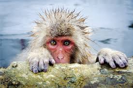 Bildergebnis für John Shaw