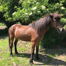 images?q=tbn:ANd9GcSwOUx6OoiYBOVYYxx5hZXOpm7w0O7GdDSFomuTUZmzn2orR5Nq