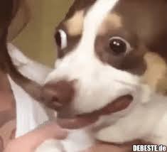 Share the best gifs now >>>. 7 Lustige Gifs Feierabend Feierabend Lustig Debeste