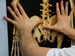 Image result for Shuck Test